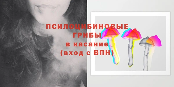 бошки Алексеевка