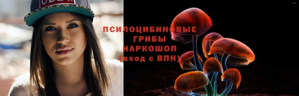 spice Абаза