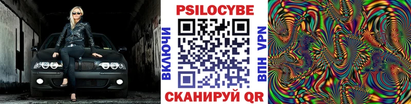 Псилоцибиновые грибы Cubensis  Кандалакша 