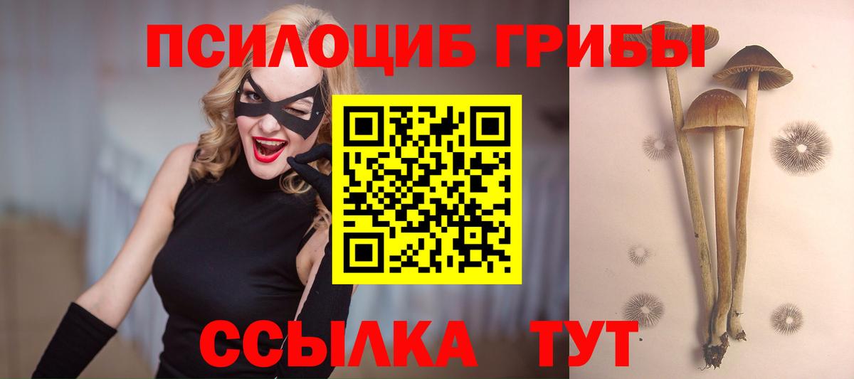 Кандалакша  Псилоцибиновые грибы GOLDEN TEACHER  Вход с VPN 