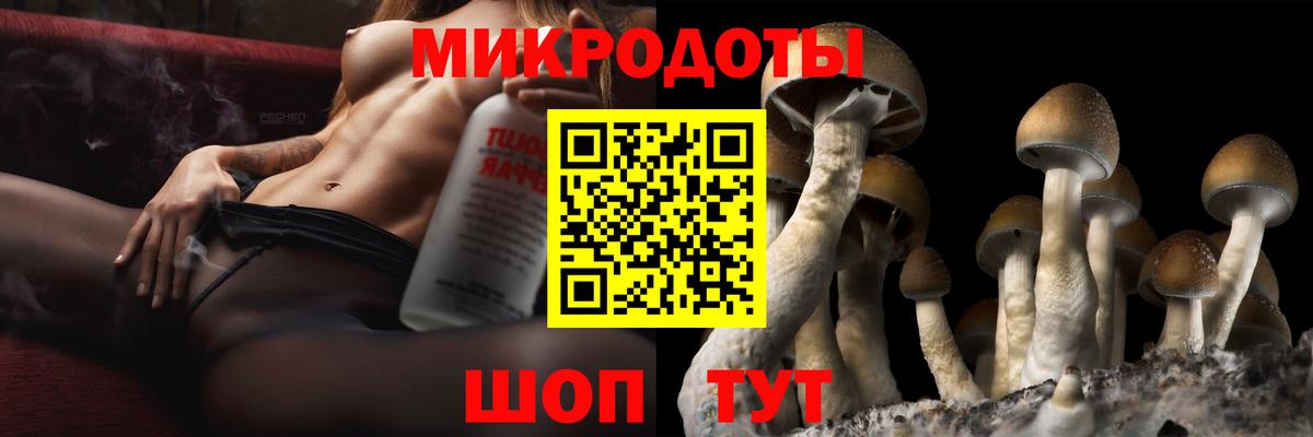 Псилоцибиновые грибы прущие грибы Кандалакша